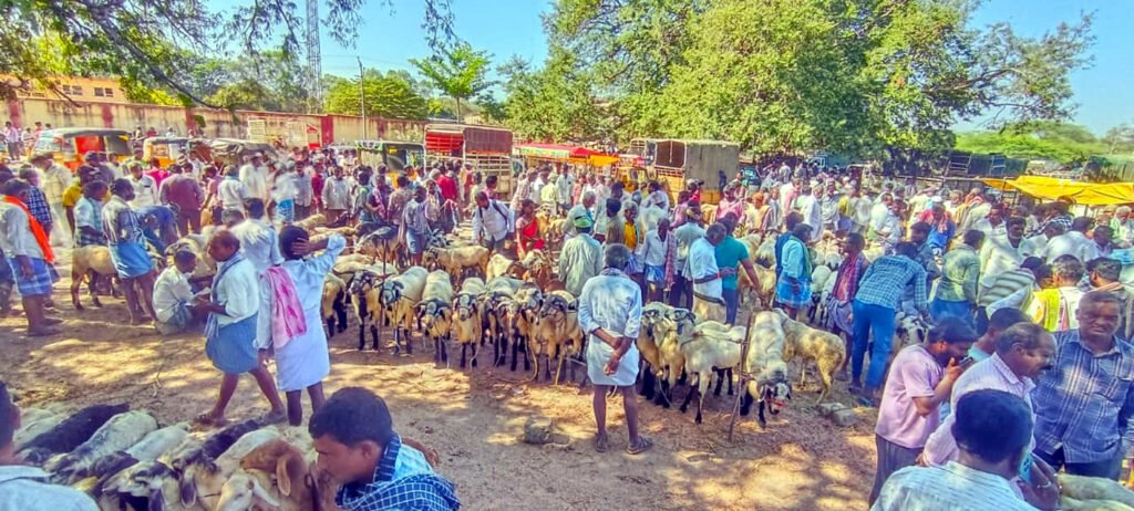 పుంగనూరులో జాతర సంత