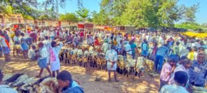 పుంగనూరులో జాతర సంత