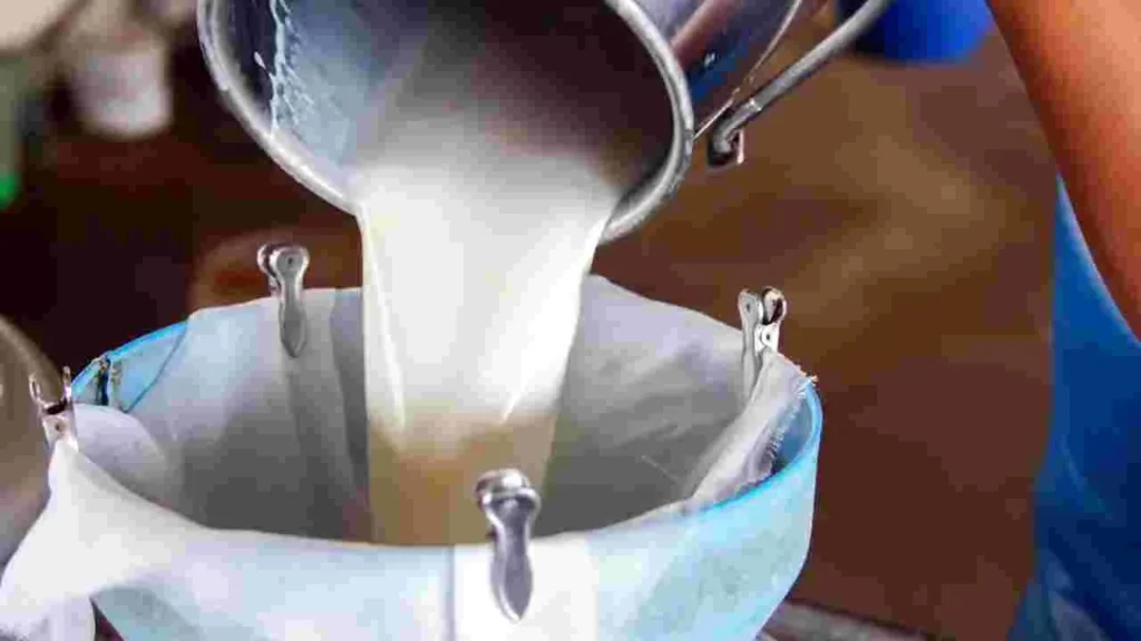 మొన్న తాగే పాలు కల్తీ అయ్యి 10మంది మృతి ఘటన మరువక ముందే….ఈ రోజు వంట నూనె కల్తీ….. ప్రజల ఆరోగ్యం ని నాశనం చేస్తున్న …కల్తీ కేటుగాళ్ళు!