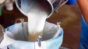 మొన్న తాగే పాలు కల్తీ అయ్యి 10మంది మృతి ఘటన మరువక ముందే….ఈ రోజు వంట నూనె కల్తీ….. ప్రజల ఆరోగ్యం ని నాశనం చేస్తున్న …కల్తీ కేటుగాళ్ళు!