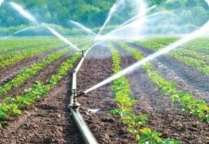 ఏపీలో గిరిజన రైతులకు అండగా కూటమి ప్రభుత్వం