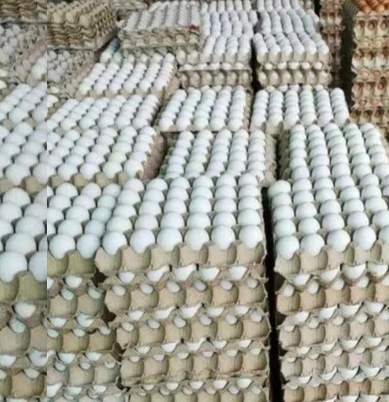 గుడ్డు ధరలు గల్లంతు..! ఫౌండ్రీ ఫారాల ఆటలేనా..?