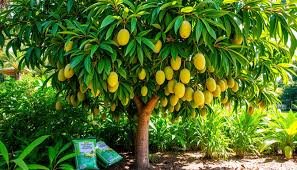 17న రైతులకు అవగాహన సదస్సు