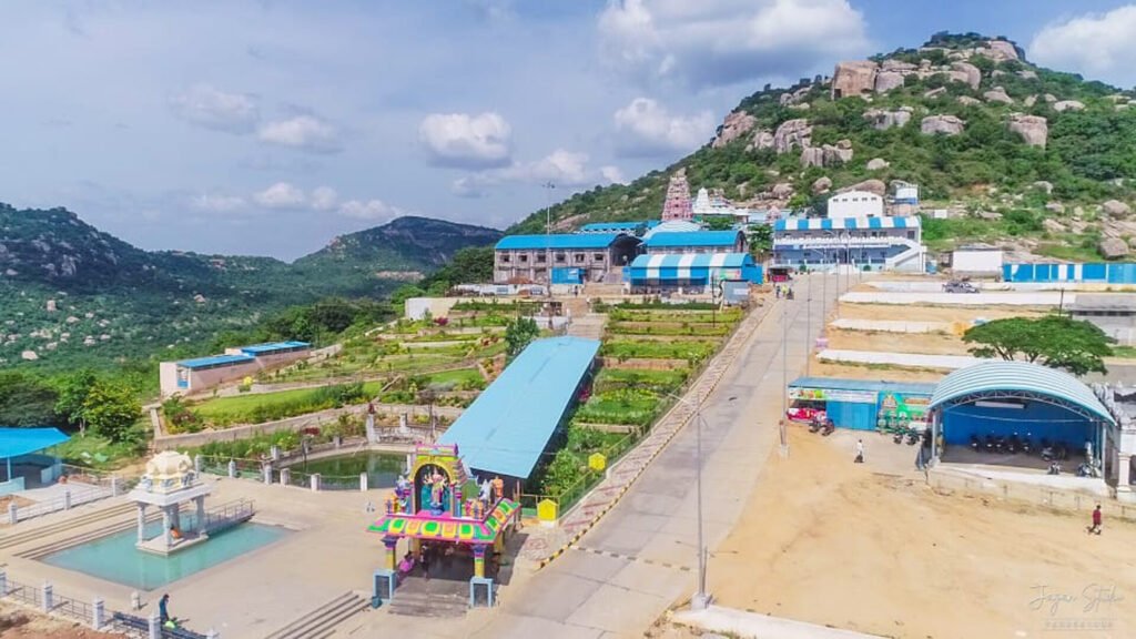 కూటమి పాలనలో గోవులను వదలేదు.