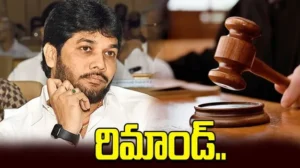 వైసీపీ ఎమ్మెల్సీ అనంతబాబుకు రిమాండ్..!