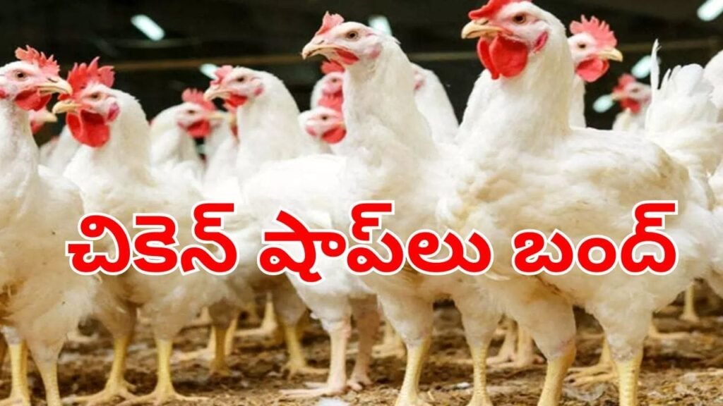 చికెన్ లవర్స్‌కు బ్యాడ్‌న్యూస్.. మూతబడిన షాప్‌లు.. ఎందుకంటే!