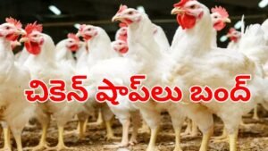 చికెన్ లవర్స్‌కు బ్యాడ్‌న్యూస్.. మూతబడిన షాప్‌లు.. ఎందుకంటే!