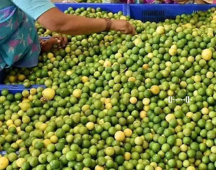 ఏపీలో ఆపిల్ తో పోటీ పడుతున్న నిమ్మ ధరలు – కేజీ నిమ్మ రూ.200.