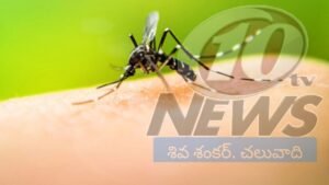 మందుబాబుల రక్తం దోమలకు ఎందుకంత ఇష్టం?.