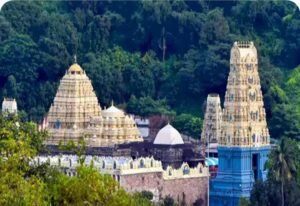 విశాఖలో గూగుల్ డేటాసెంటర్.. సింహాద్రి అప్పన్నకు రూ.300 కోట్ల ఆదాయం!