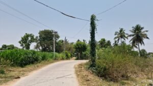 వేలాడుతున్న విద్యుత్ తీగల తో పొంచి ఉన్న ప్రమాదం