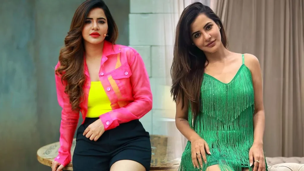 బిగ్ బాస్ ఫేమ్, సినీనటి అషు రెడ్డిపై సీసీఎస్‌లో కేసు నమోదు..!