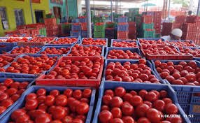 పుంగనూరు లోటమోటా ధరలు