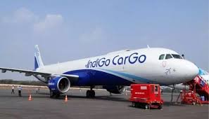 ఇండిగో విమానంలో సాంకేతిక లోపం..