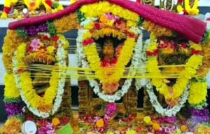 వైభవంగా నాగదేవతల విగ్రహాలు ప్రతిష్ట