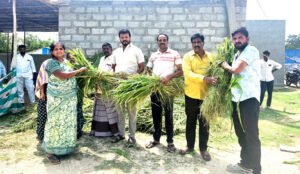 గోమాతల సేవలో ఆనలుగురు మిత్రులు ఆదర్శం