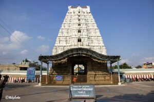 మే 28 నుండి జూన్ 5 వరకు నారాయణవనంలో బ్రహ్మోత్సవాలు