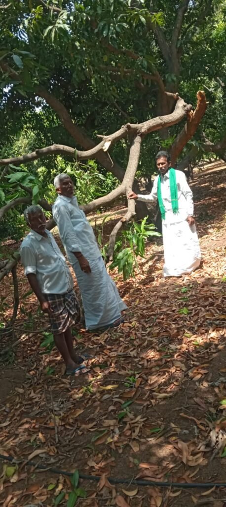 అకాల గాలివానలతో రైతులకు తీవ్ర నష్టం