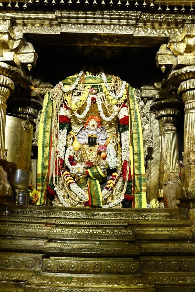 శ్రీ గురు దక్షిణామూర్తి స్వామికి ప్రత్యేక పూజలు