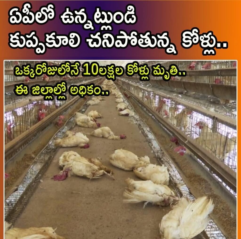 ఏపీలో ఎండల తీవ్రత రోజురోజుకుపెరుగుతోంది.