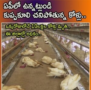 ఏపీలో ఎండల తీవ్రత రోజురోజుకుపెరుగుతోంది.