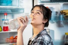 ఫ్రిజ్ Water ఎక్కువగా తాగడం వల్ల కిడ్నీలకు జరిగే నష్టం