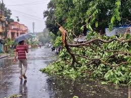 యూపీలో తుఫాన్ బీభత్సం, 74 మంది మృతి