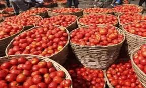 పుంగనూరులో టమోటా ధరలు