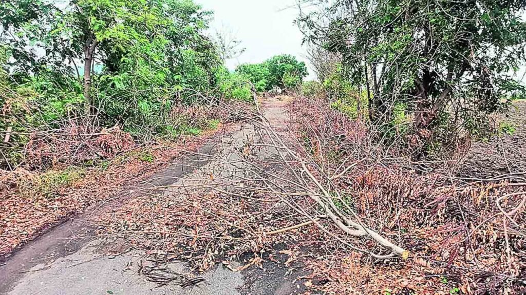 మాలేపాడు లోదారి సమస్య