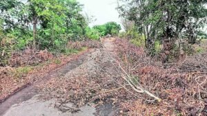 మాలేపాడు లోదారి సమస్య