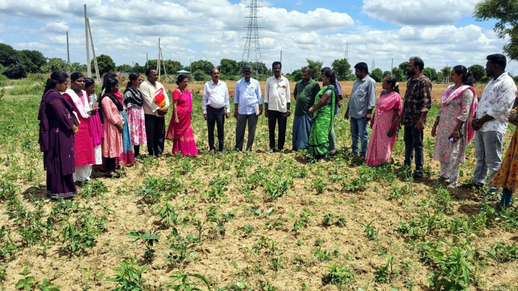 రైతన్న మీకోసం పటిష్టంగా నిర్వహించాలి