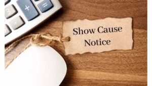పల్నాడు జిల్లాలో 8 మంది BLOలకు షోకాజ్ నోటీసులు..!