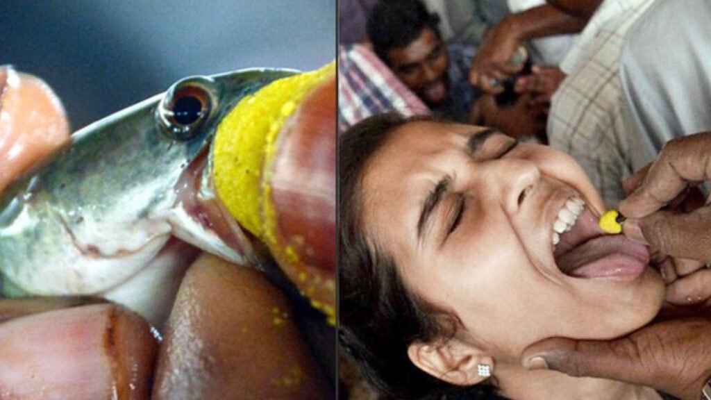 చేప ప్రసాదం పంపిణీ..!