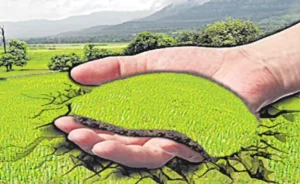 పీలేరులో డీకేటీ భూమిని ప్లాట్లుగా విక్రయించి మోసం చేశారని ఫిర్యాదు