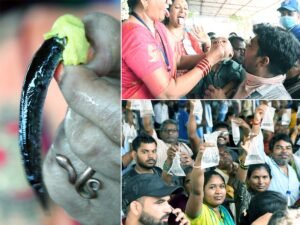 రేపు మృగశిర కార్తె – చేప మందు పంపిణీ:-