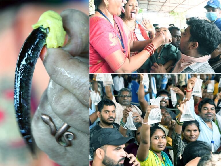 రేపు మృగశిర కార్తె – చేప మందు పంపిణీ:-