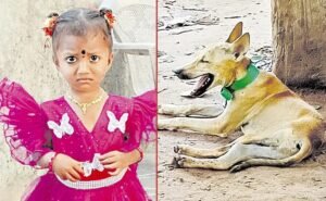 చిన్నారి అదృశ్యం కేసులో కుక్క మృతి