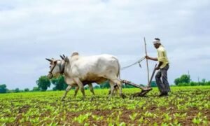 ఒకేసారి ‘రైతుభరోసా’ నిధులు రిలీజ్‌!