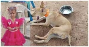 మిస్సింగ్ కేసు.. చిన్నారిని జంతువులు లాక్కెళ్లాయా? అనే కోణంలో దర్యాప్తు