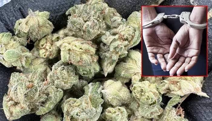 SR నగర్‌లో గంజాయి ముఠా గుట్టురట్టు..!