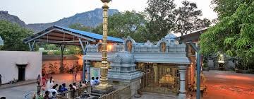 జూన్ 23న శ్రీ ప్రసన్న వేంకటేశ్వరస్వామి ఆలయంలో కోయిల్ ఆళ్వార్ తిరుమంజనం