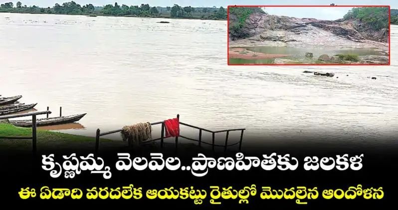 కృష్ణమ్మ వెలవెల..ప్రాణహితకు జలకళ…