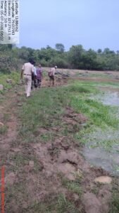 దారి తప్పిన ఏనుగుల బీభత్సం.. మామిడి తోటలు, పంటలకు భారీ నష్టం.