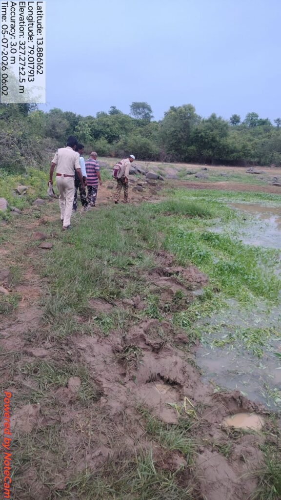 దారి తప్పిన ఏనుగుల బీభత్సం.. మామిడి తోటలు, పంటలకు భారీ నష్టం.
