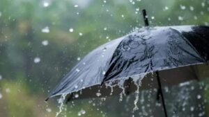 ఆంధ్రప్రదేశ్ , తెలంగాణలో 6 రోజుల పాటు వర్షాలు: IMD