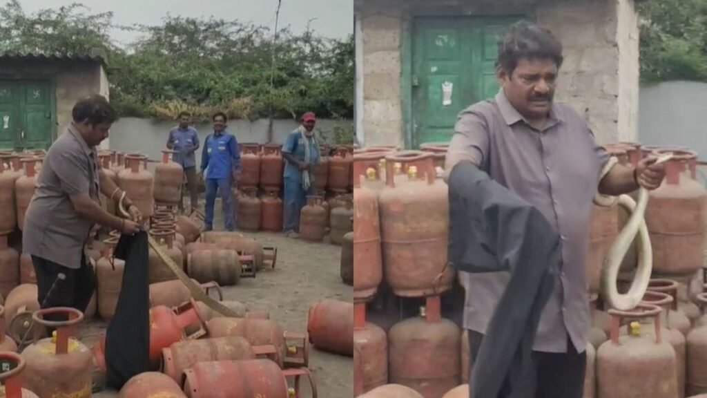 సిలిండర్‌ తీద్దామని వెళ్లిన డెలివరీ బాయ్.. కనిపించిది చూసి పరుగో పరుగు!