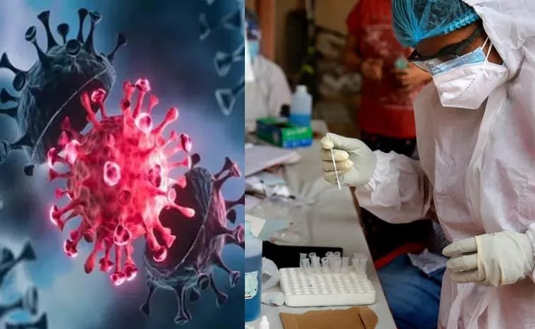 రాజమండ్రిలో మొదటి కరోనా కేసు నమోదు.
