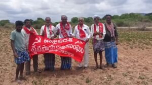 వర్షాభావంతో ఎండిపోతున్న వేరుశనగ పంటలు.
