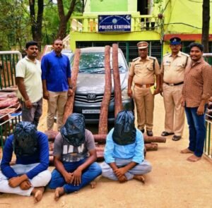 పొద్దుటూరు పరిధిలో 7 ఎర్రచందనం దుంగలు స్వాధీనం