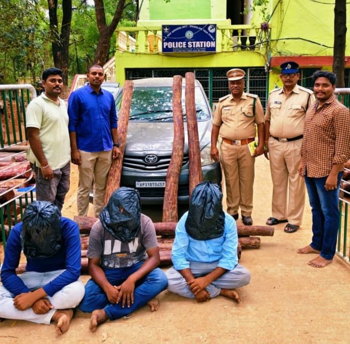 పొద్దుటూరు పరిధిలో 7 ఎర్రచందనం దుంగలు స్వాధీనం